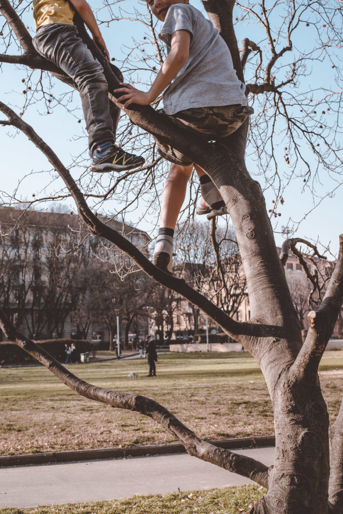 Street photography of two children climbing a tree in a park in Milan, due bambini su un albero in un parco a Milano