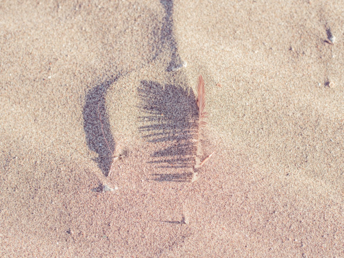 STUDY ON SAND