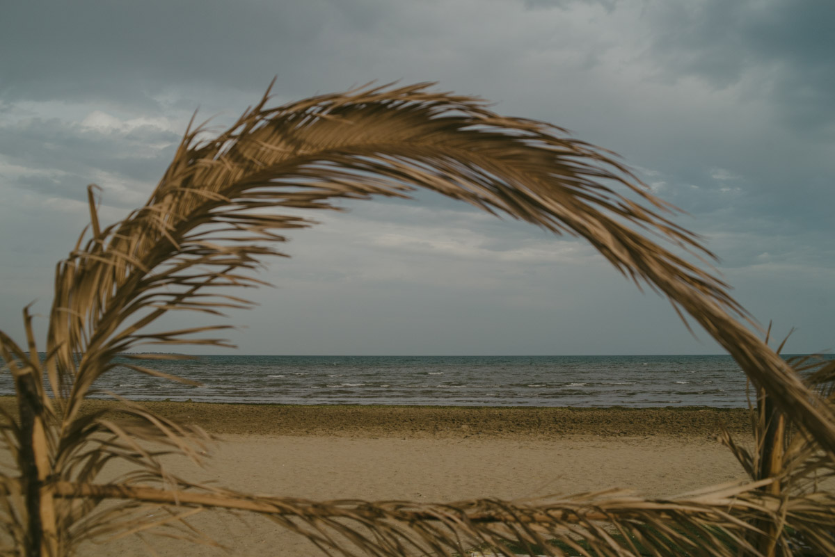 A solitary beach in Barletta on a grey and moody day with a plant in foreground - Una spiaggia deserta a Barletta con un ramo di palma in primo piano