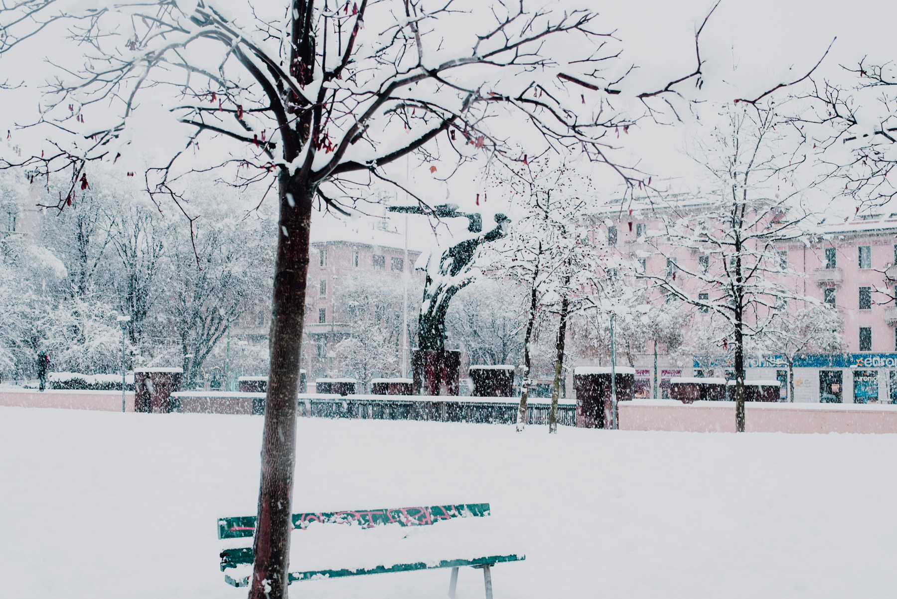 Snow in Milan on December 2020, a snowy landscape with a bench and a tree covered in snow, nevicata a Milano a dicembre 2020, paesaggio invernale con una panchina e un albero entrambi coperti dalla neve