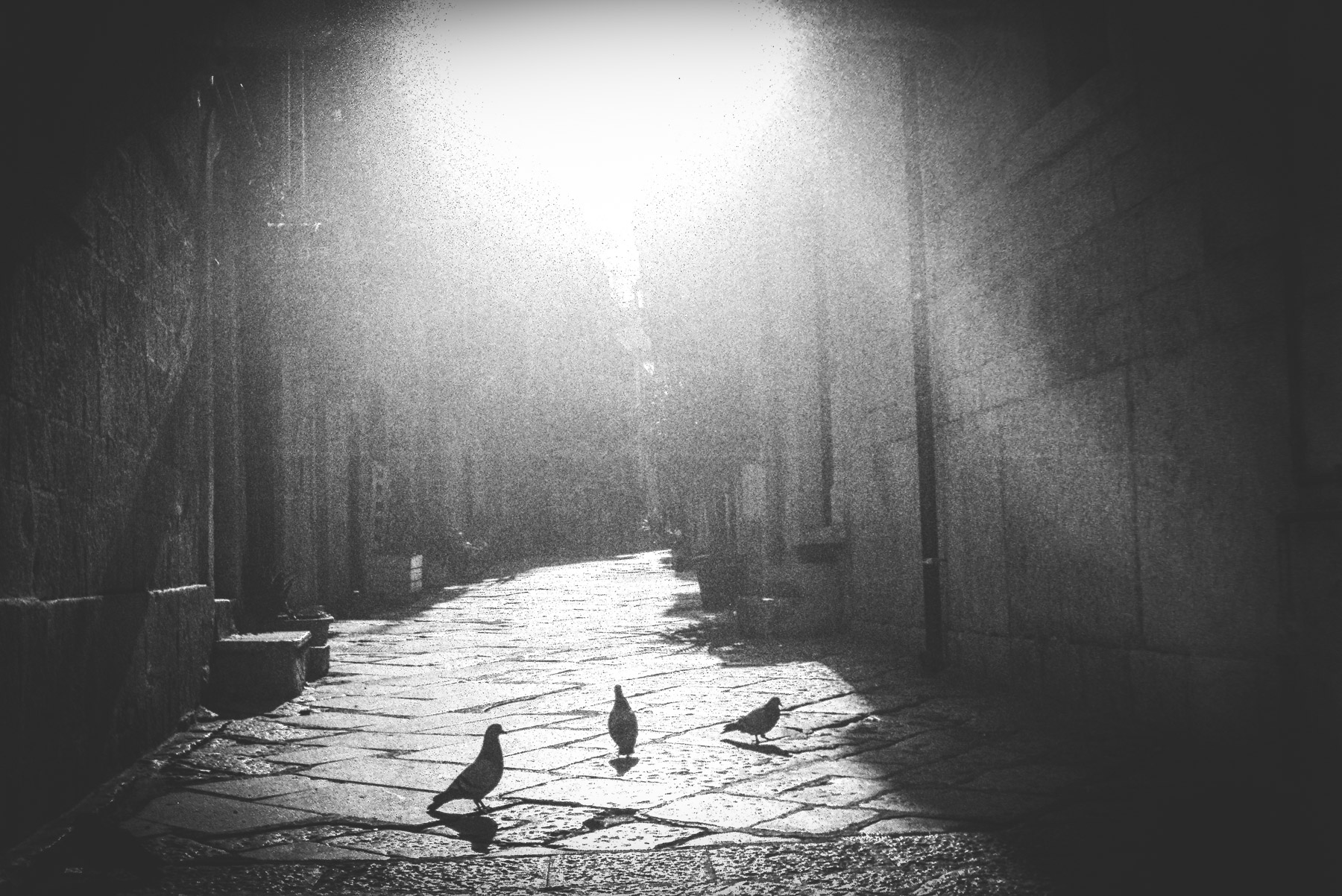 Barletta - Looks like an Apocalypse 2